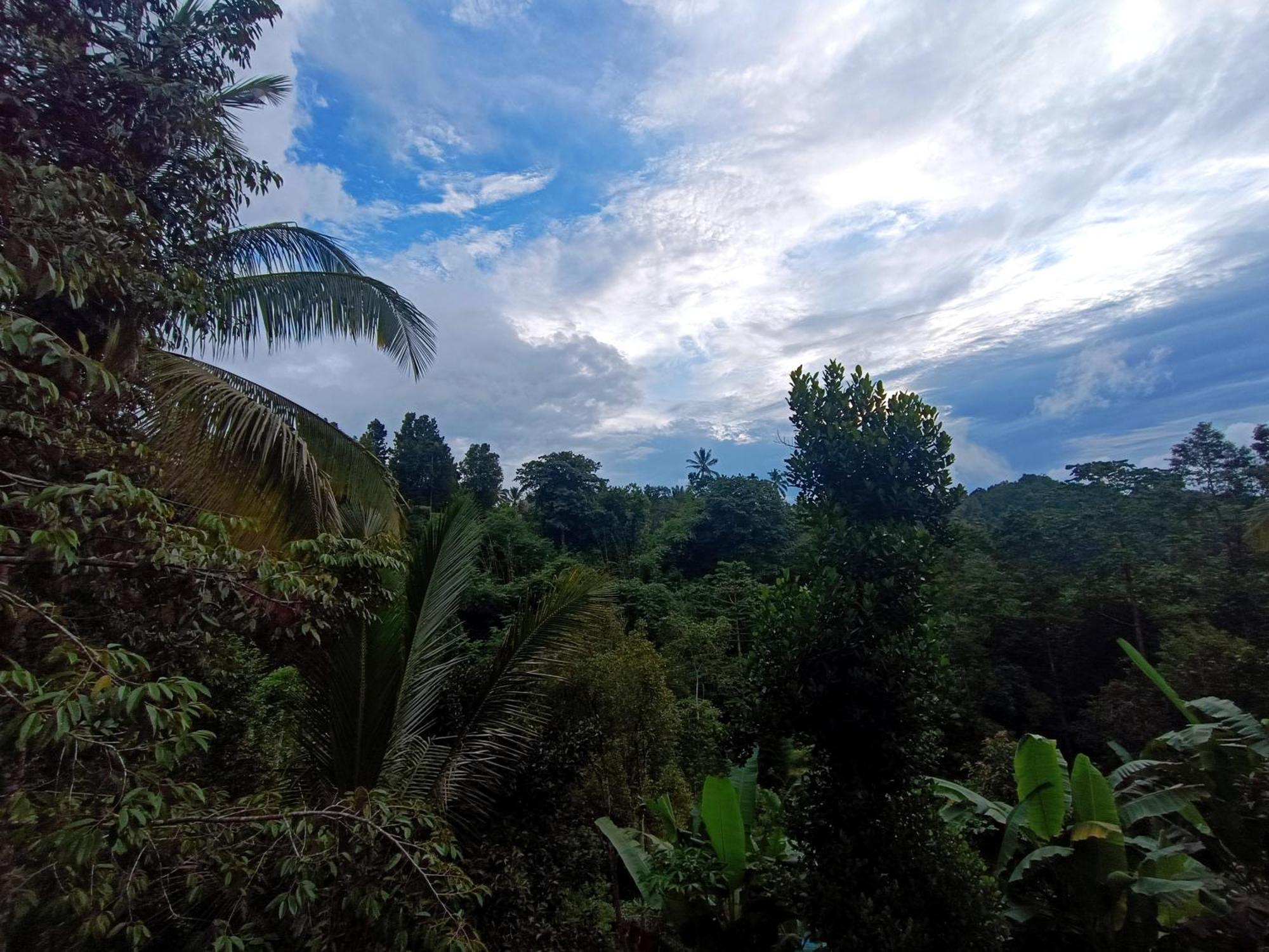 Hotel Artomoro Bali à Munduk Extérieur photo